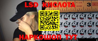 spice Братск