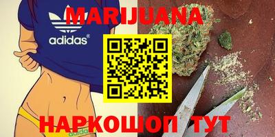 бошки Владимир